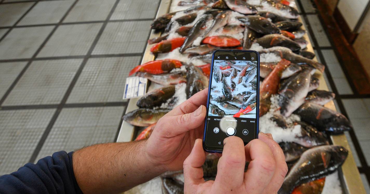 Inquérito JM: Têm razão os pescadores em estarem revoltados por considerarem que são quem menos ganha no negócio do peixe?