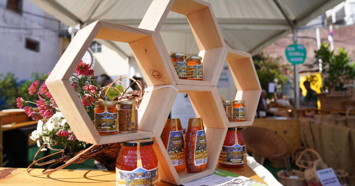 Câmara de Lobos já vive o São Pedro, esta noite atua T-Rex