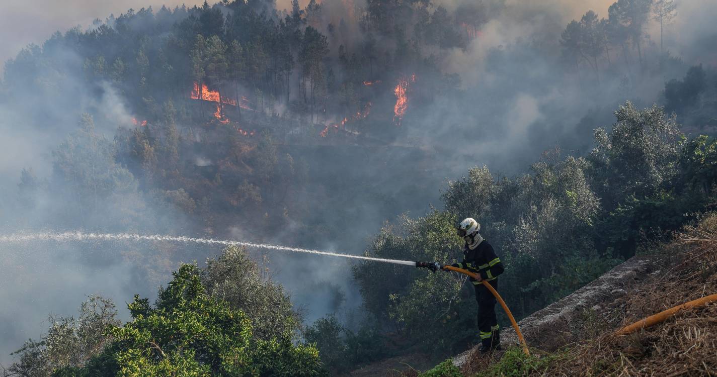Incêndios: Cerca de 5.000 hectares de baldios arderam nos distritos da Guarda e de Coimbra