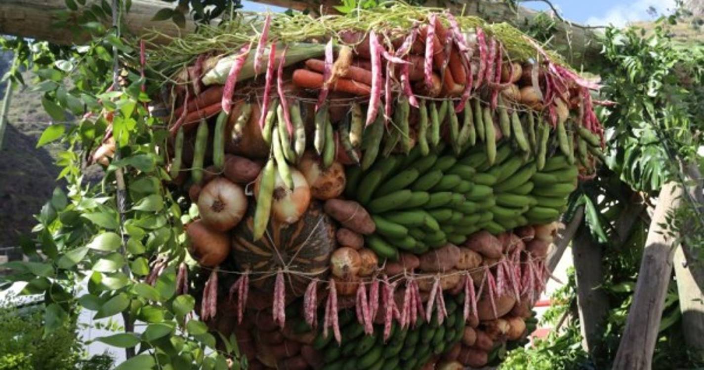 Festas de São Pedro estão de volta à Ribeira Brava. Veja as primeiras imagens