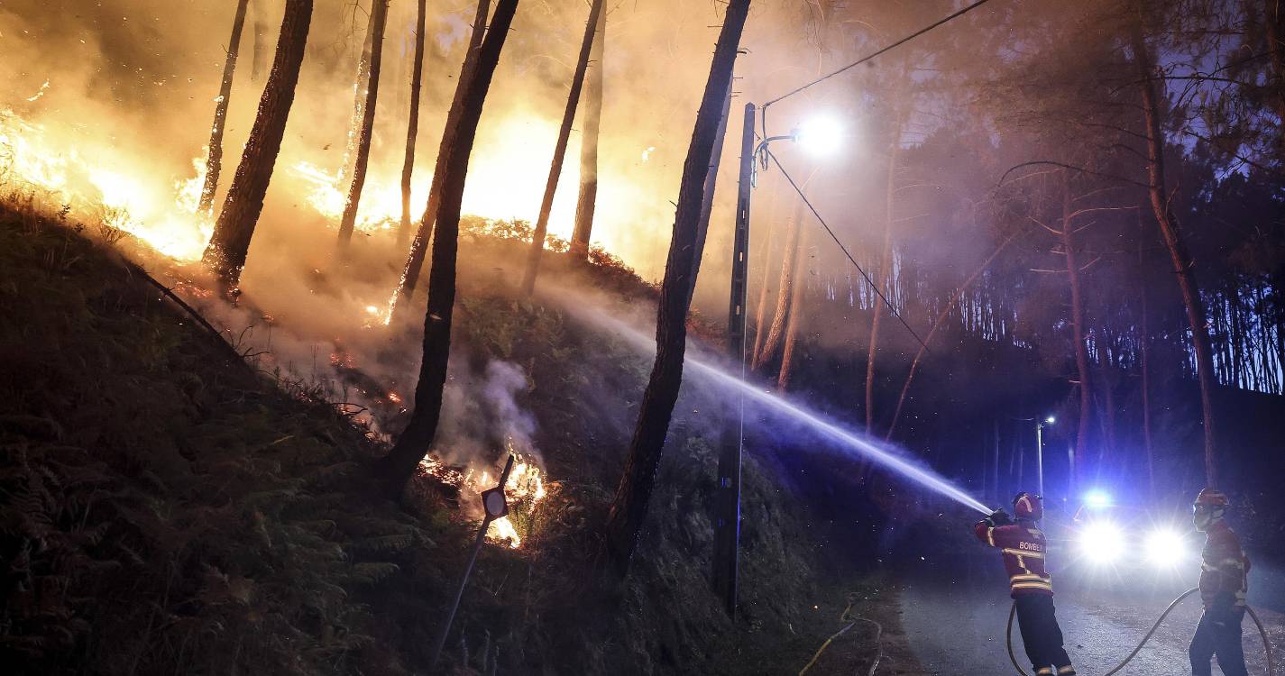 Incêndios: Operador de máquina de rasto morreu no combate a fogo em Mirandela