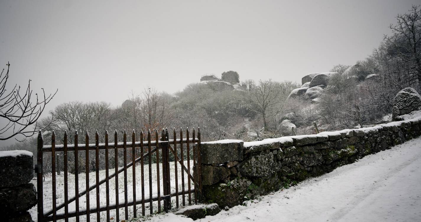 Mau tempo: Mais de 720 ocorrências em Portugal continental entre quinta-feira e hoje - Proteção Civil