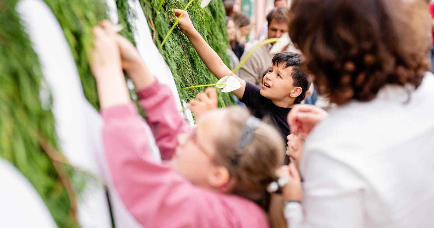 Festa da Flor: Câmara da Calheta cria Mural da Esperança