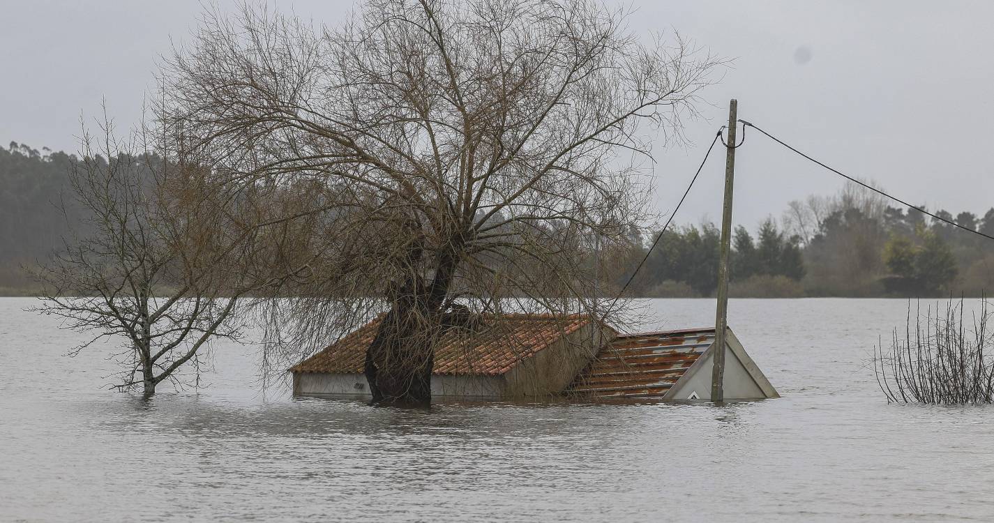Mau tempo: Fundação Aga Khan doa 1,5 ME para reconstrução