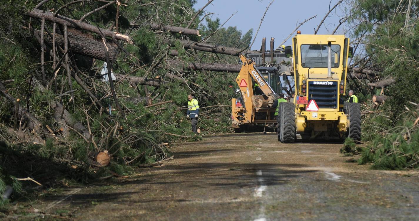 Mau tempo: Associações pedem “soluções baseadas na natureza” para mitigar os impactos