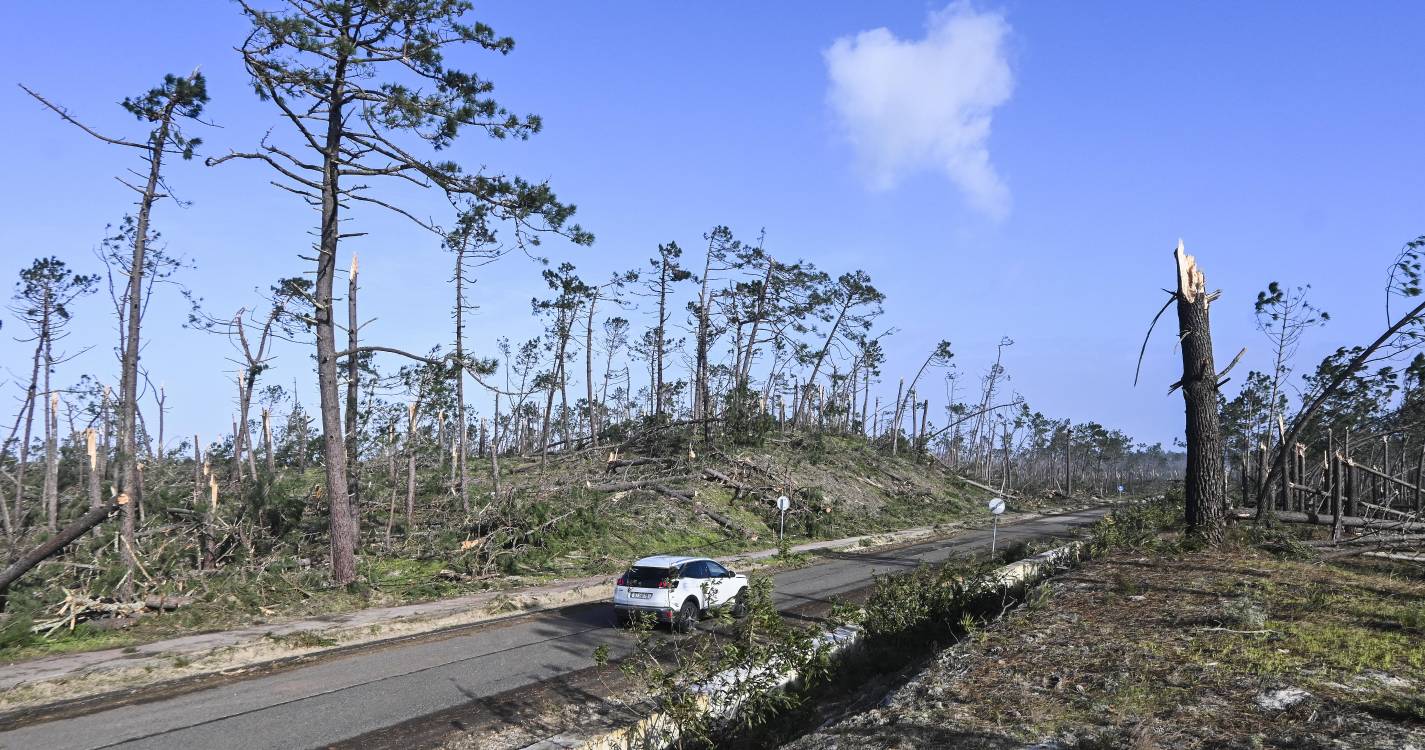Mau tempo: Mais de 400 pessoas com traumas em acidentes de limpeza e reconstrução