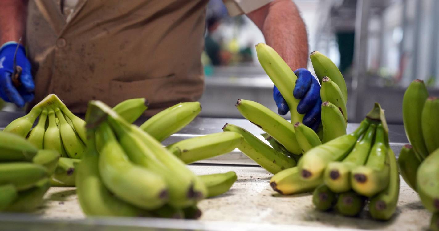 Autoridade da Concorrência multa GESBA por “abuso de posição dominante”