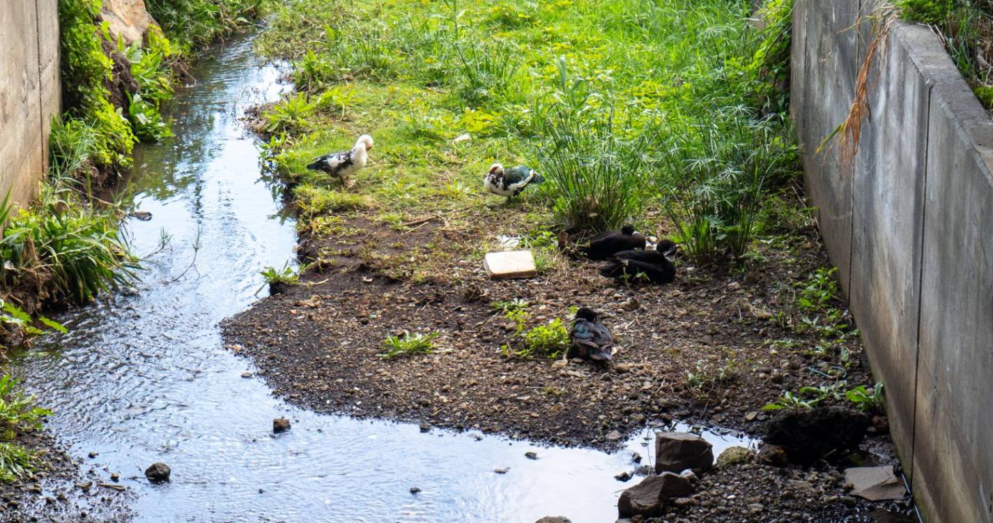 Parque Desportivo de Água de Pena marcado pela tempestade de 2013
