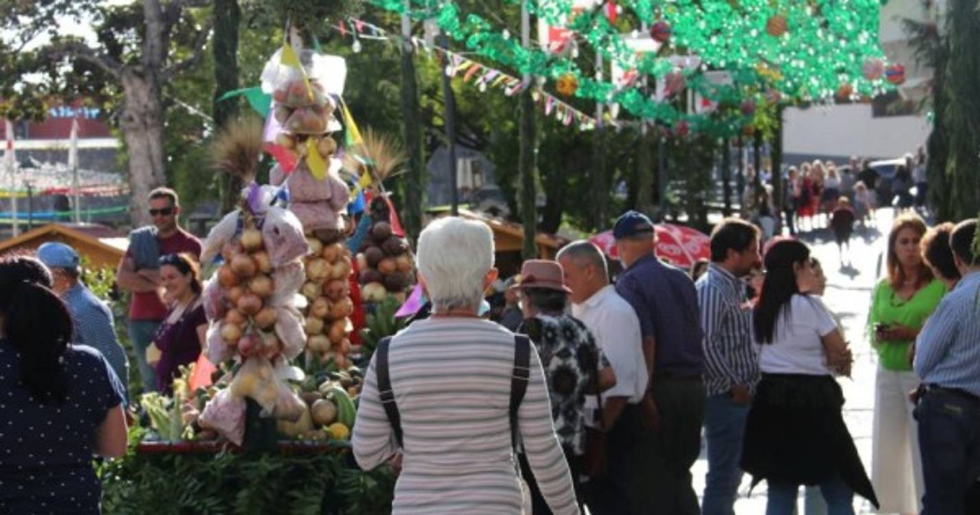 Festas de São Pedro estão de volta à Ribeira Brava. Veja as primeiras imagens