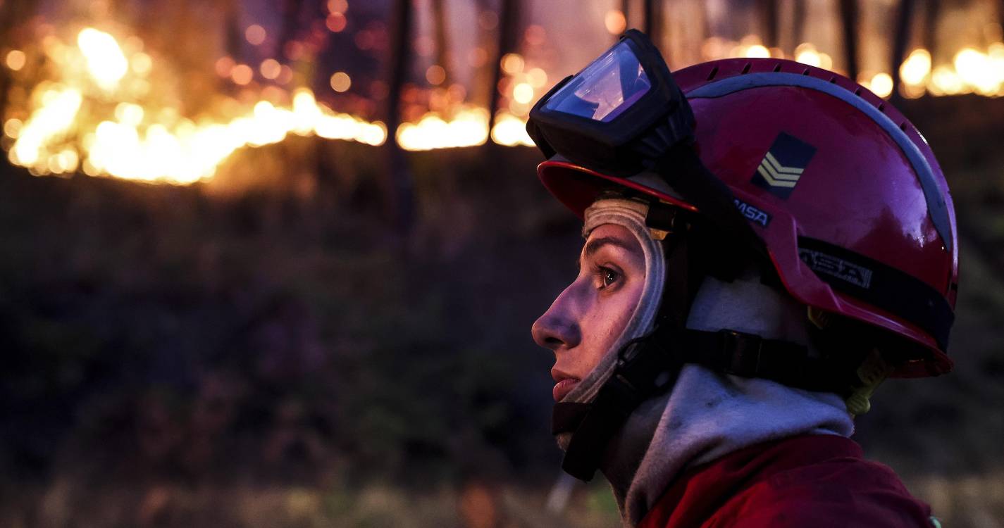 Incêndios: Proteção Civil contabiliza 59 novos fogos, cinco preocupantes