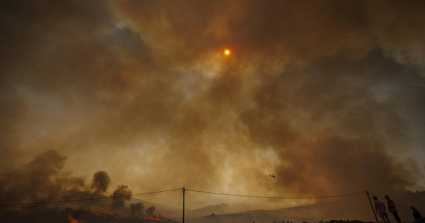 Incêndios: Autarca de Vila Real diz que concelho está a ser consumido em lume brando