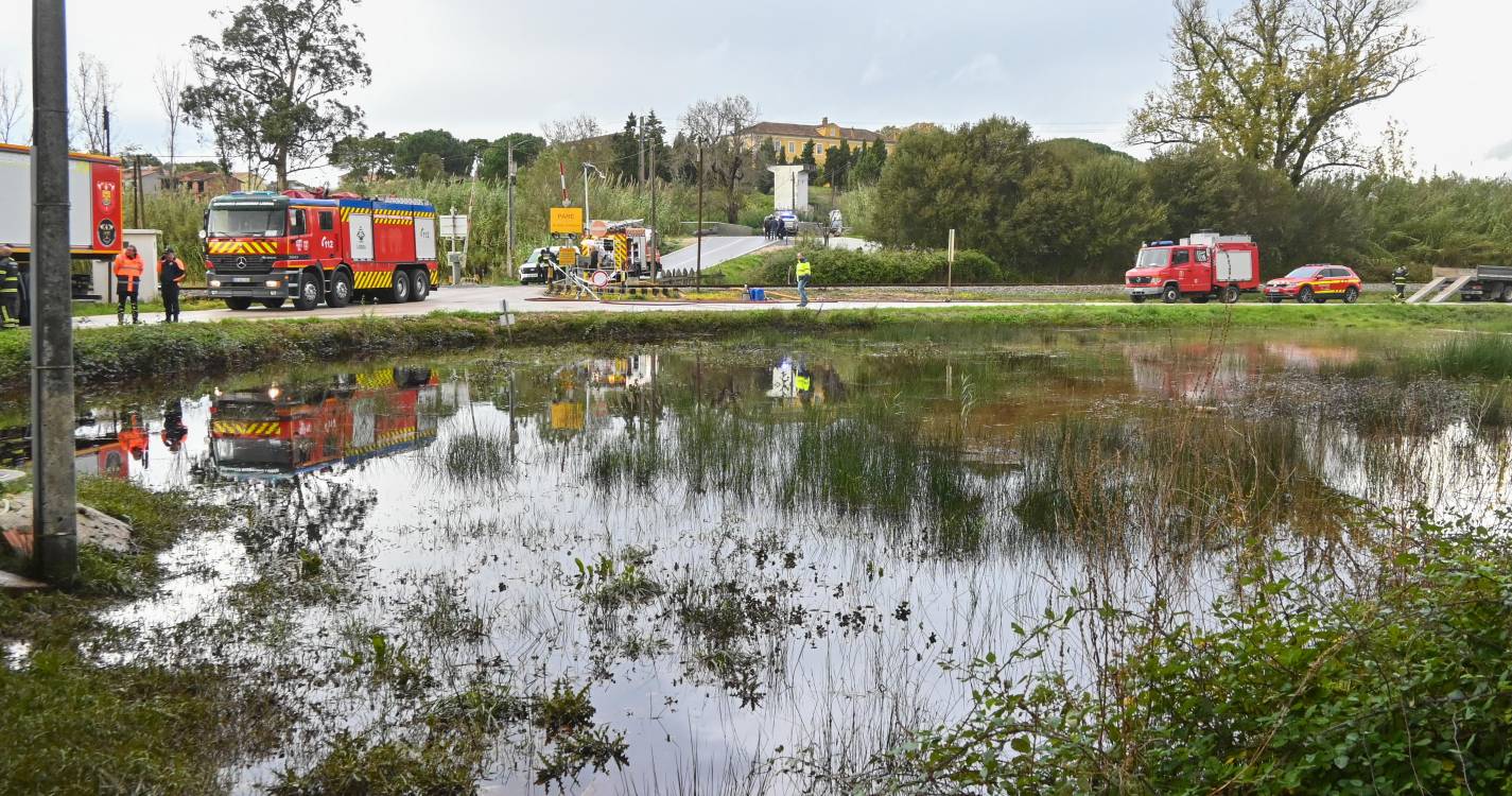 Derrame de hidrocarbonetos em Valado de Frades sob investigação