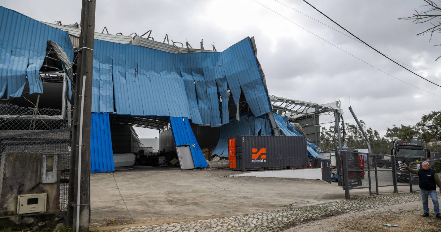 Mau tempo: Prejuízos entre 5 ME e 10 ME em estufas e culturas agrícolas no Oeste diz associação