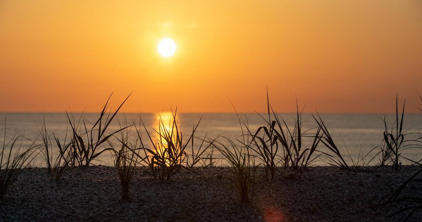 NASA lança missão PUNCH para continuar a descobrir os segredos do Sol