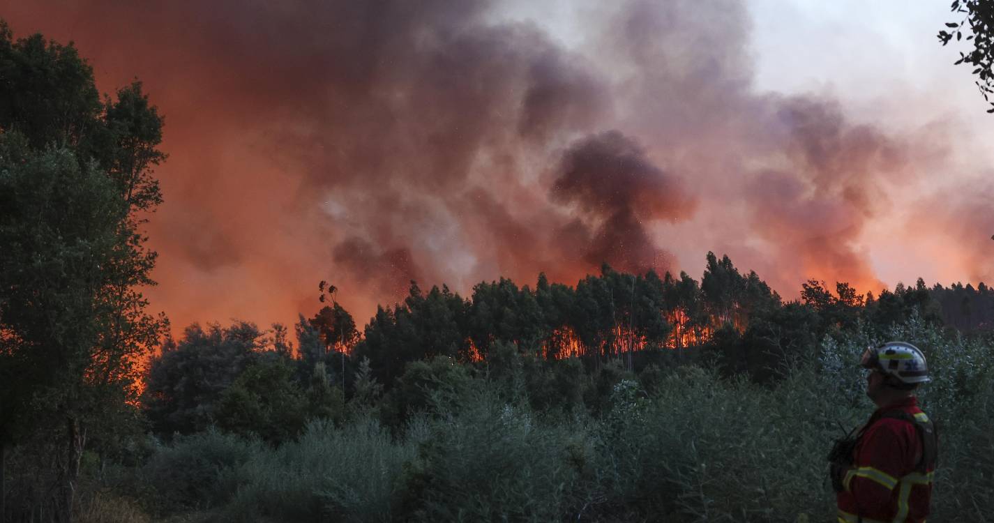 Detido suspeito de atear 17 fogos em Ponte da Barca