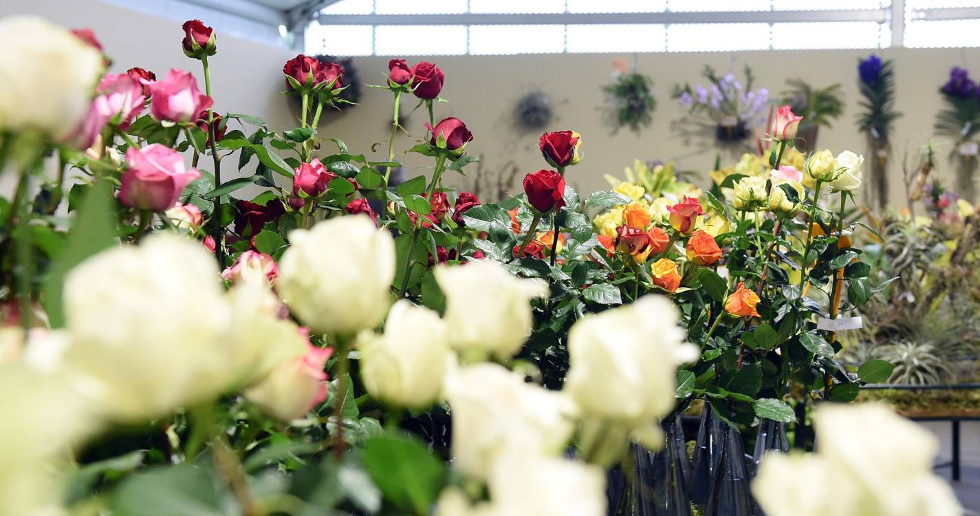 Governo diz que Centro de Floricultura estava contemplado no Orçamento chumbado