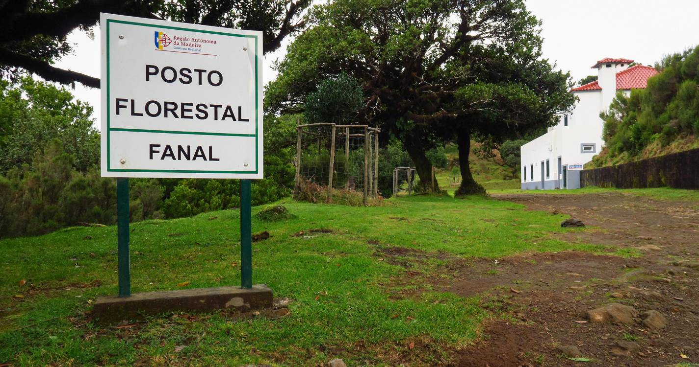 Morreu um dos feridos após uma queda de 40 metros no Fanal