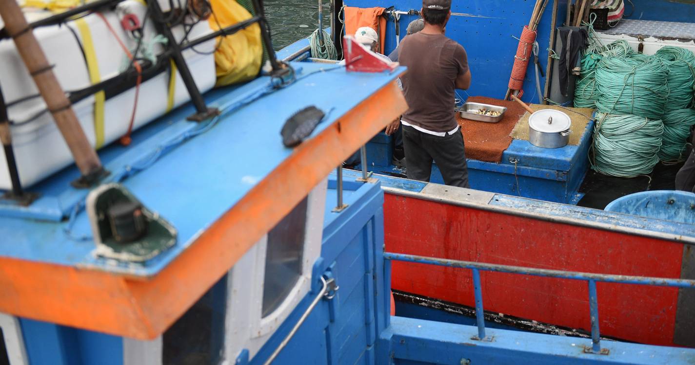 Federação de Pescas dos Açores contesta proposta de reestruturação do setor