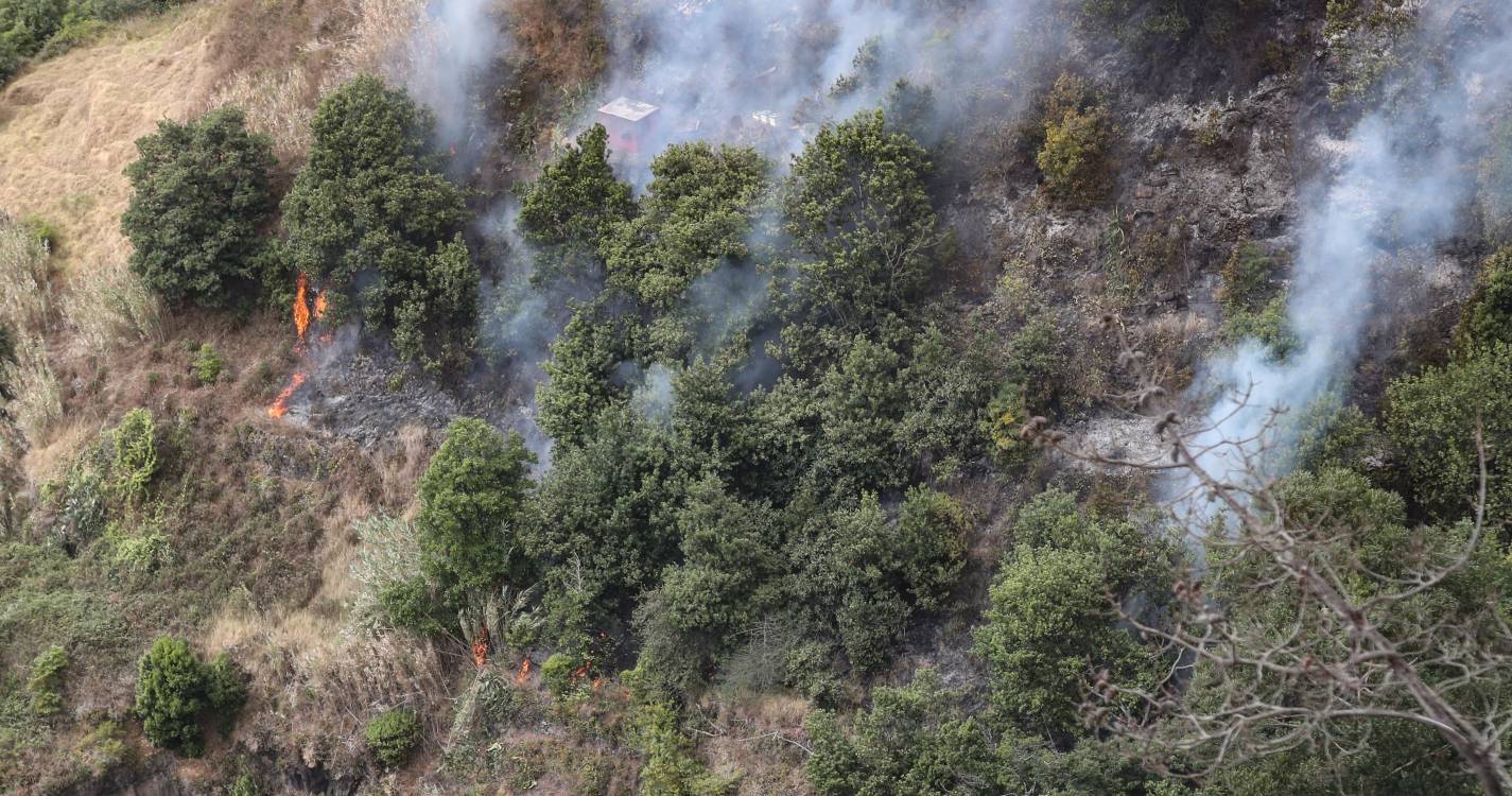 Incêndios: Calor e fogos sem darem tréguas no sul da Europa