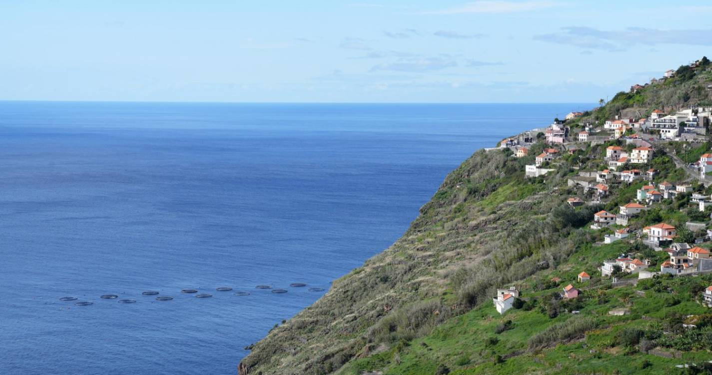 PJ já investiga alegado homicídio no Campanário