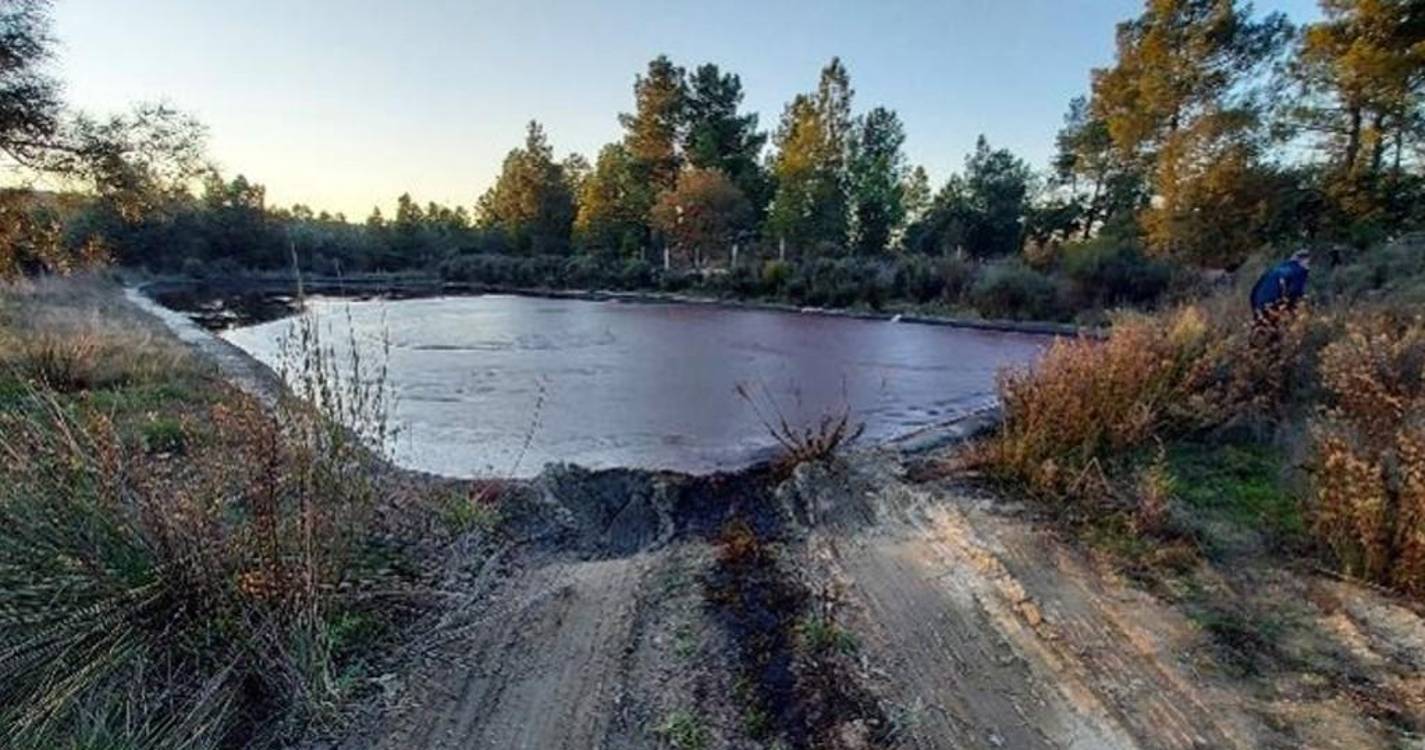 Linha SOS Ambiente da GNR recebeu mais de 12 mil denúncias em 2024