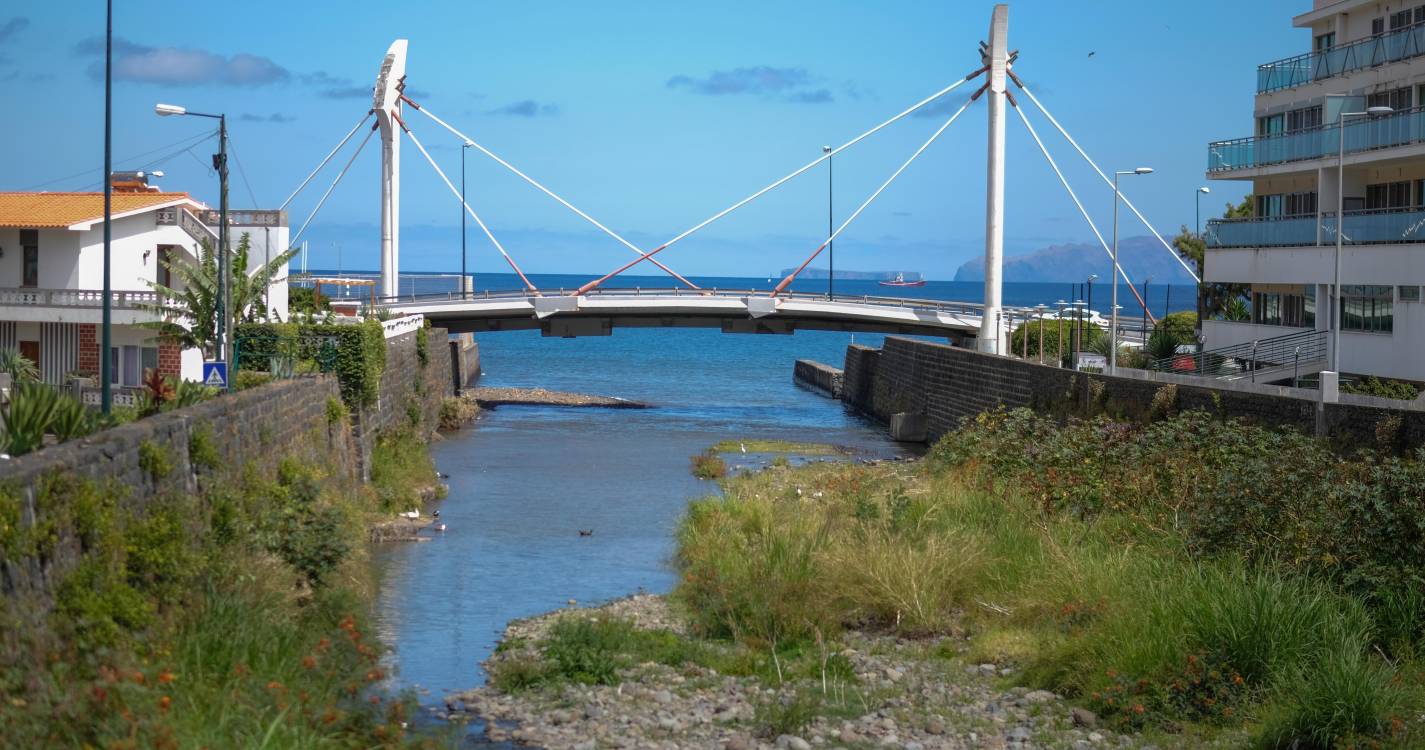 Cão resgatado de uma ribeira em Machico