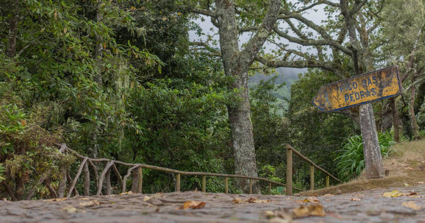 Clube de Campismo da Madeira organiza caminhada de 16 km no próximo sábado