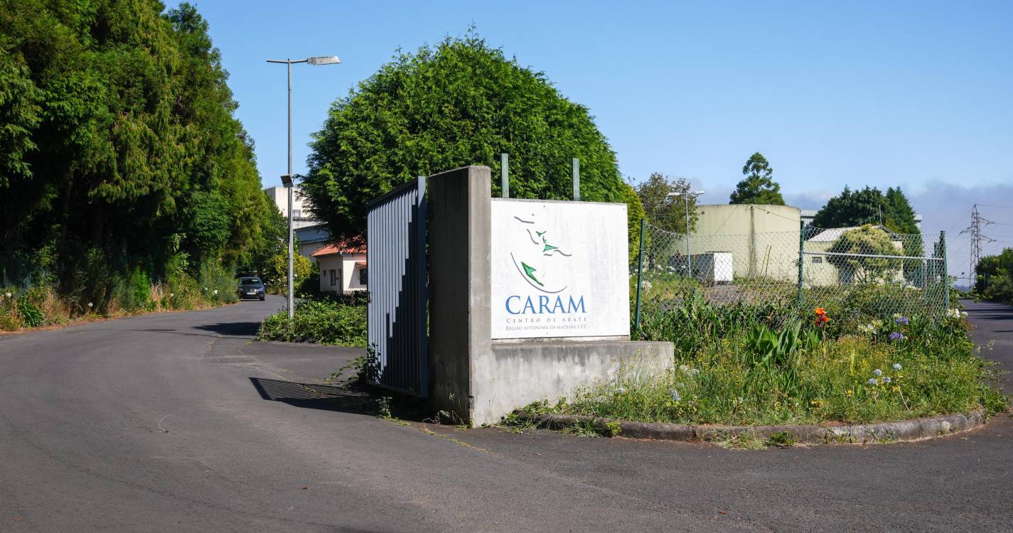 GR declara interesse público para manutenção dos serviços mínimos no Centro de Abate