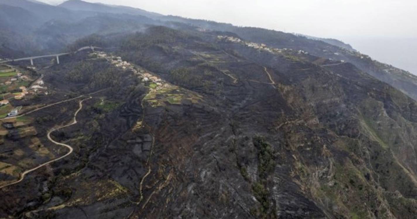 Imagens de drone mostram destruição da Calheta até ao Porto Moniz