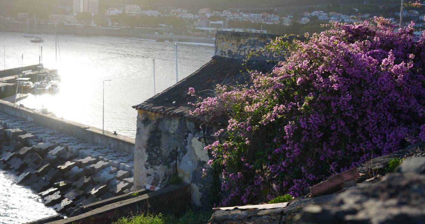 “Nova fase do Forte de Machico deve trazer resultados concretos” diz o JPP