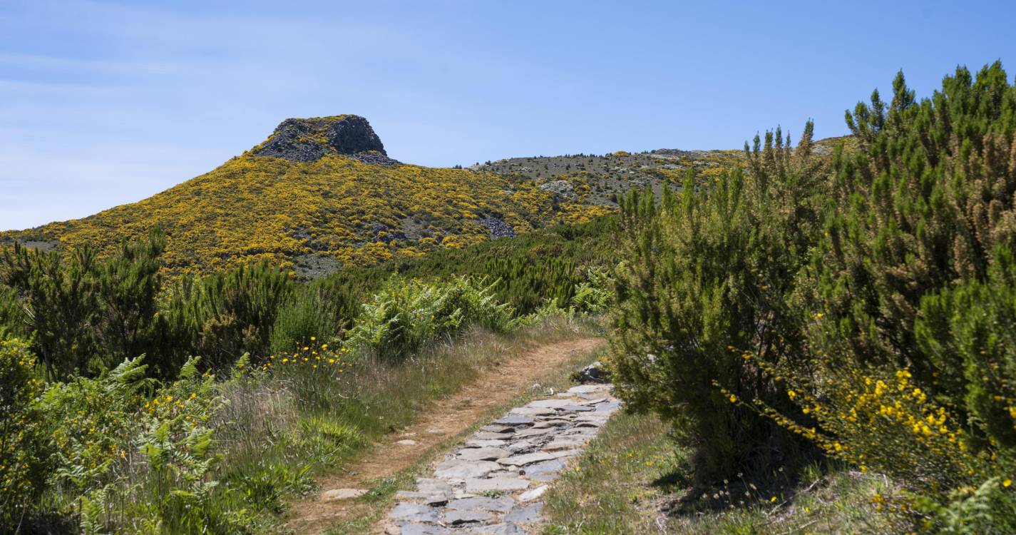 Quercus contesta concessão dos trilhos a privados