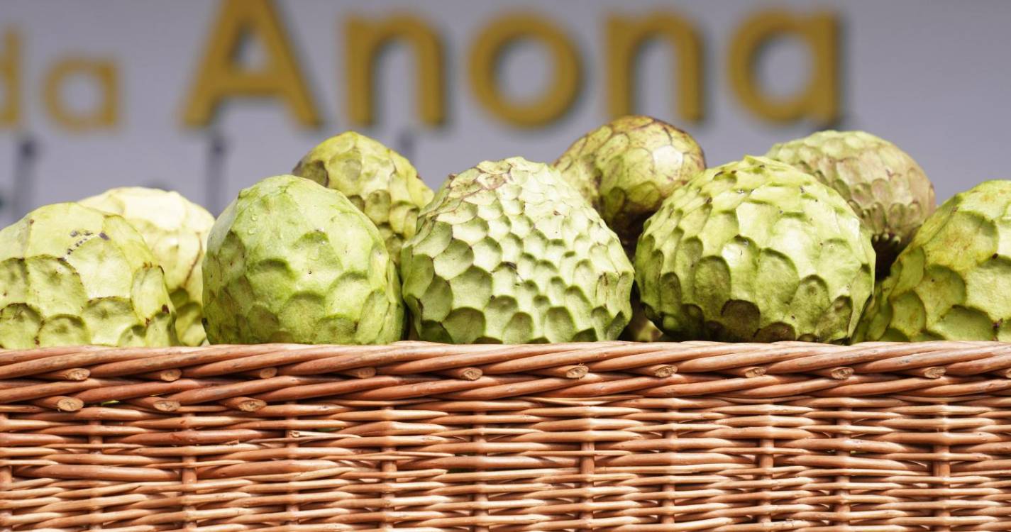 Inscrições para a 34.ª edição da Exposição Regional da Anona começam amanhã