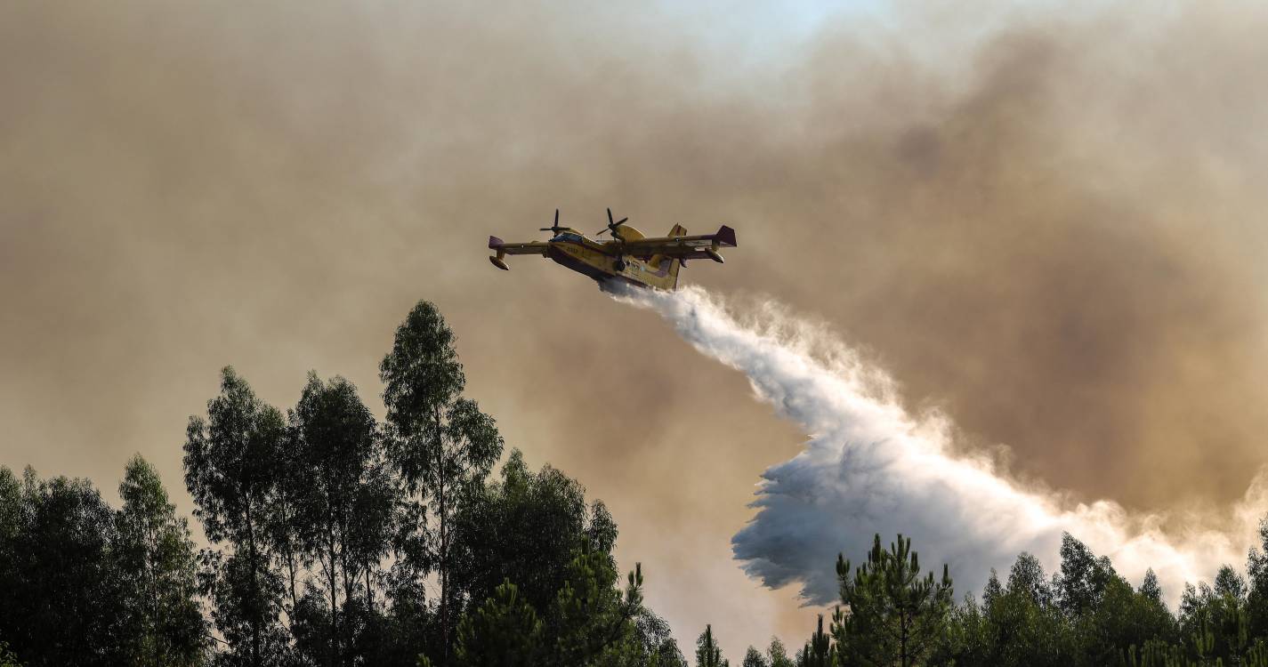 Incêndios: Meios aéreos estrangeiros mantêm-se em Portugal até sexta-feira