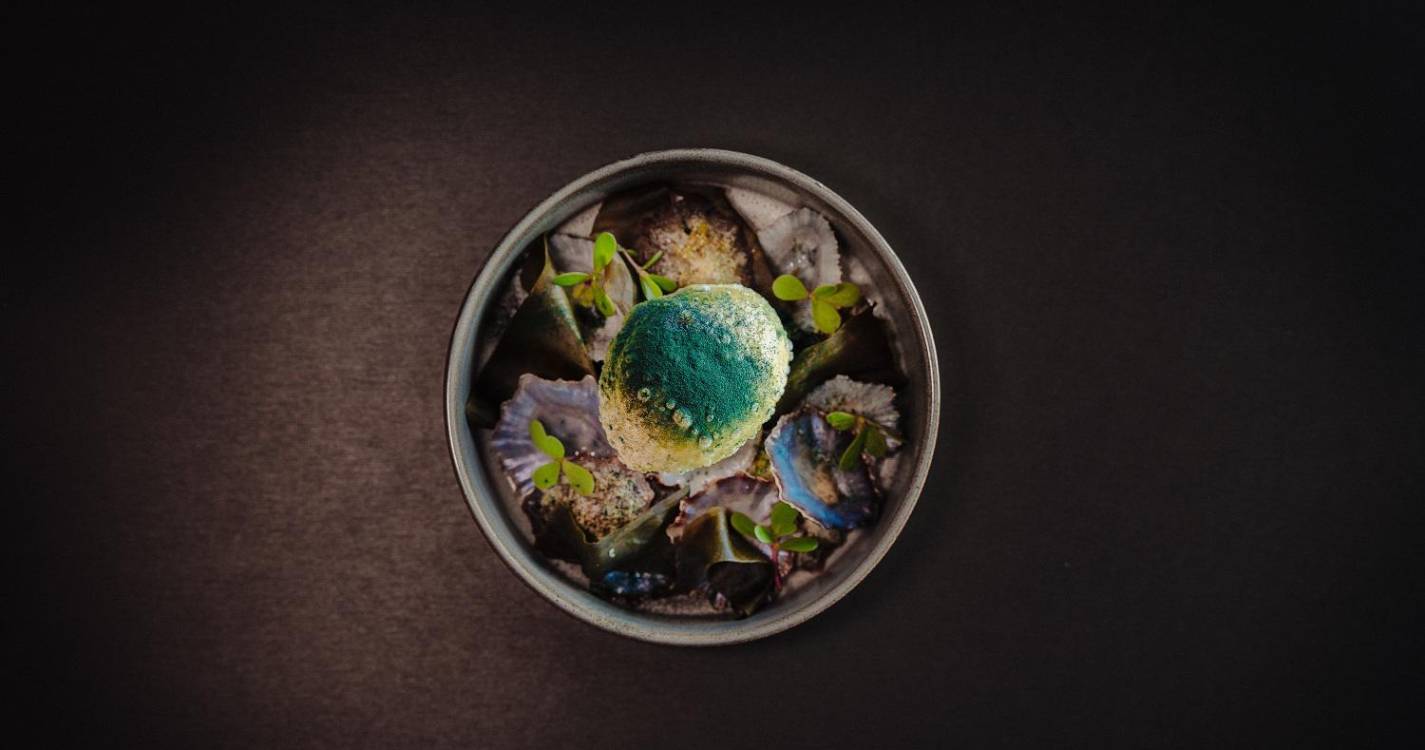 Saccharum celebra a sustentabilidade com o jantar ‘7 Momentos’