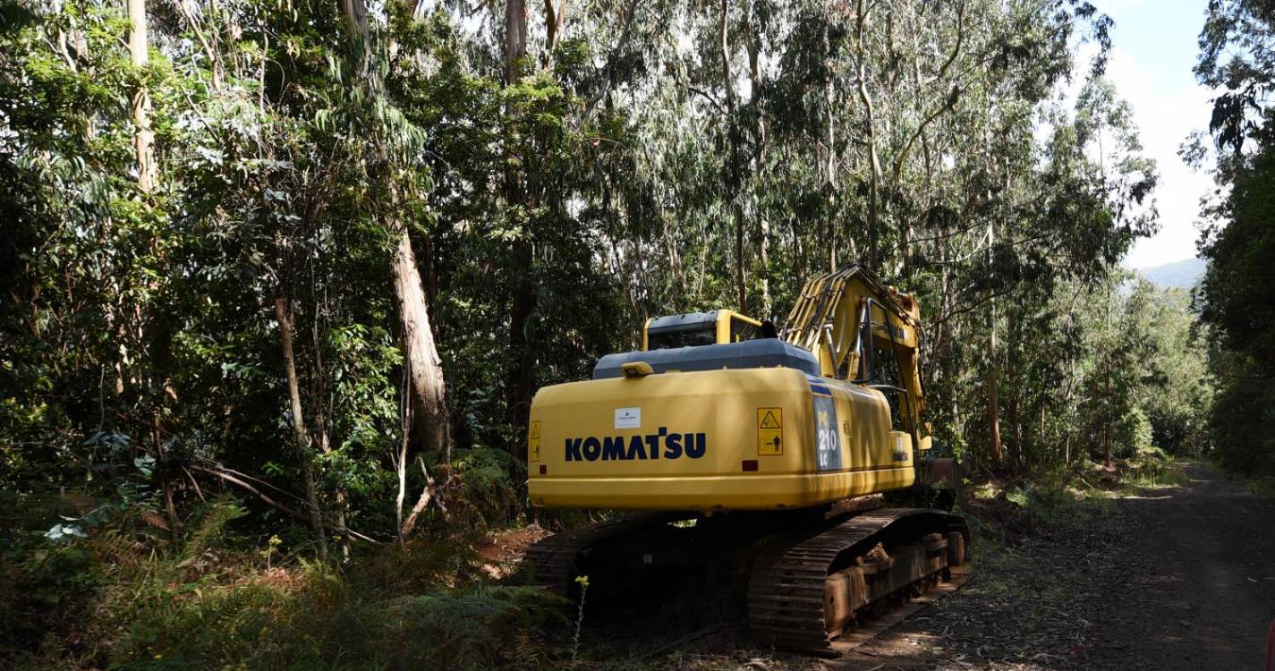 Secretaria do Ambiente convida JPP a realizar visita guiada à Laurissilva