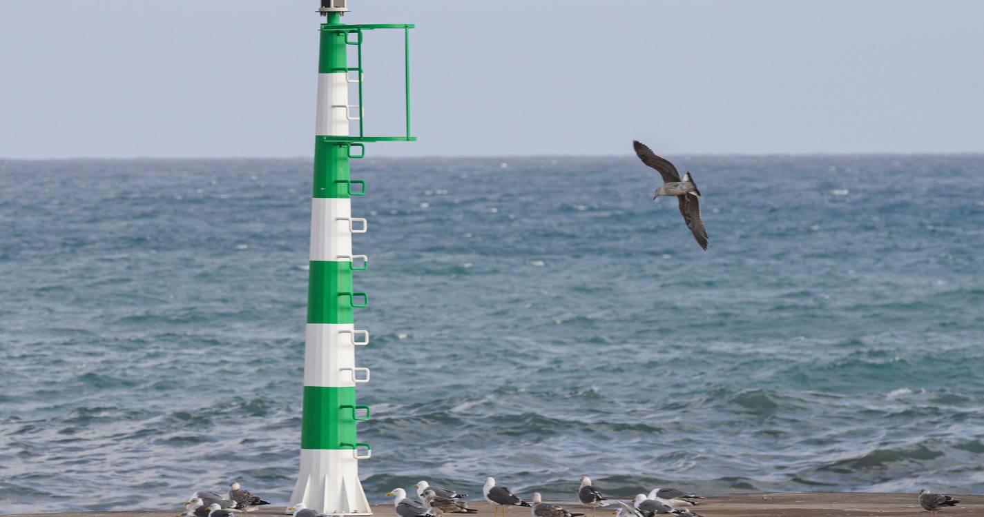 Capitania do Funchal cancelou aviso de agitação marítima forte para a Madeira