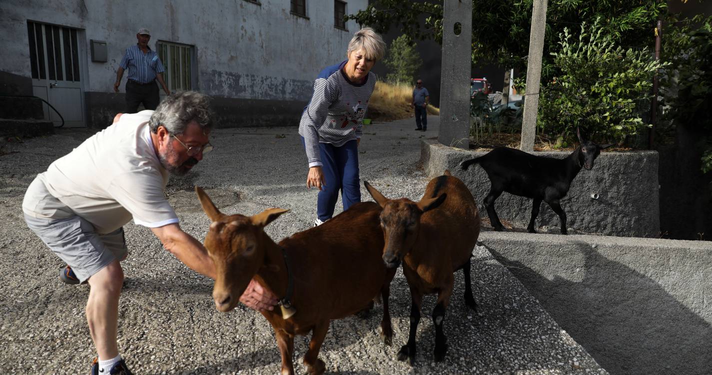 Incêndios: Moradores das Meãs, Pampilhosa da Serra, recusaram sair para defender a aldeia (com fotos)