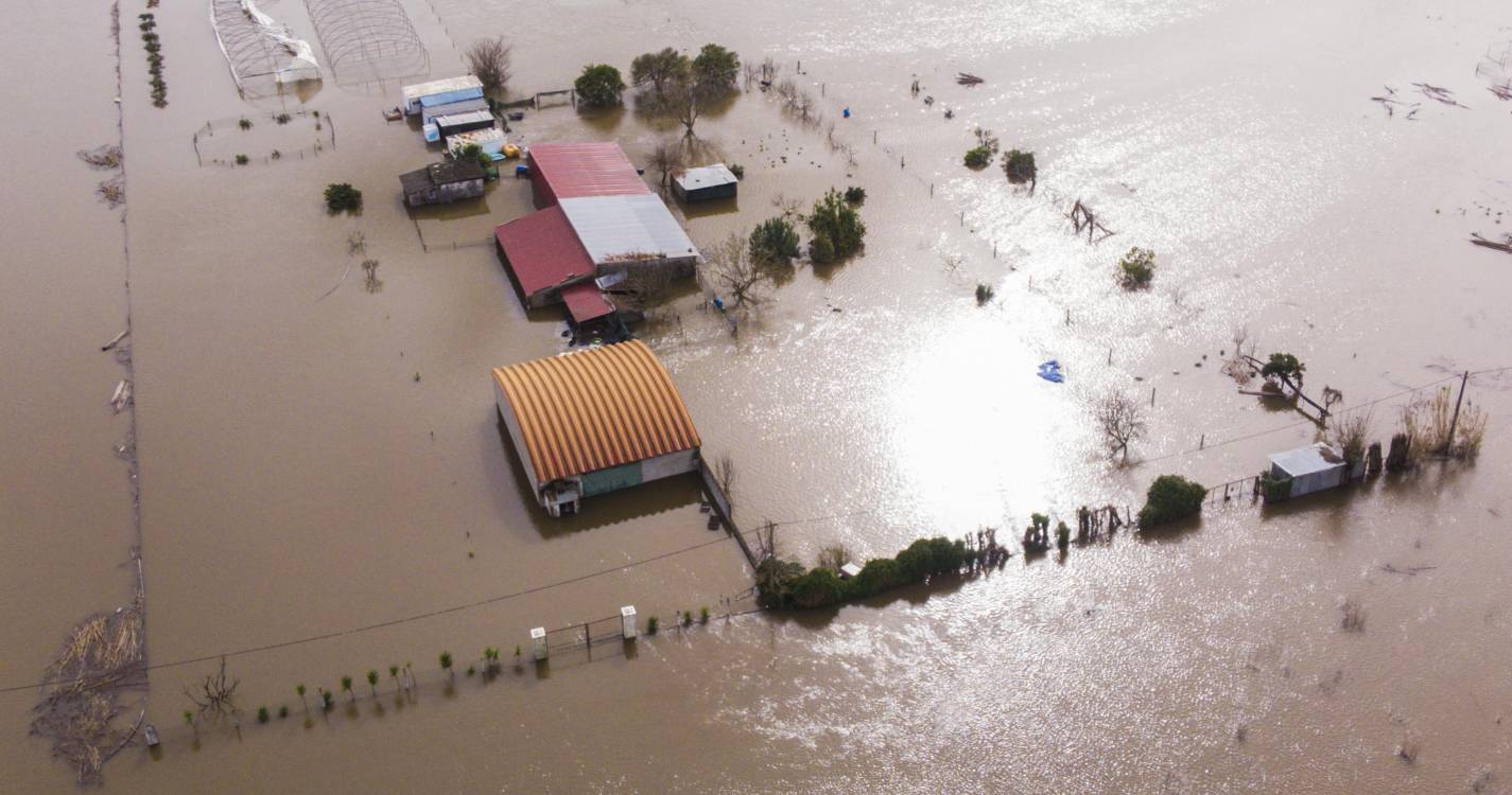 Mau tempo: Bombeiros resgatam proprietários de viveiro em São João do Campo, Coimbra
