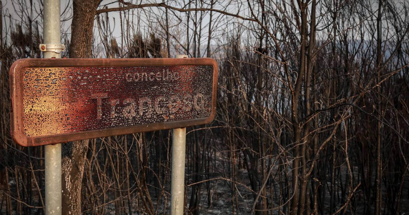 Incêndios: Chamas de Trancoso e Sátão alastram a outros oito municípios