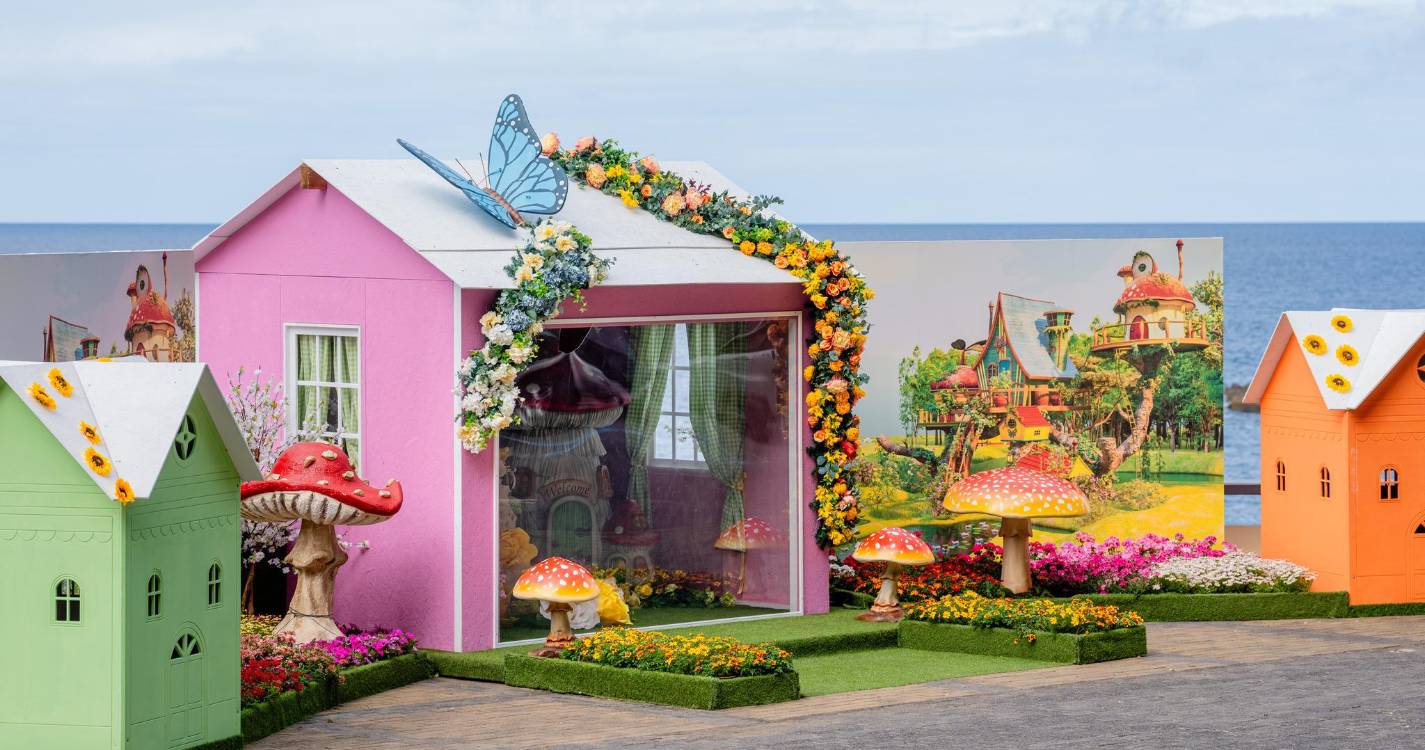 Festa da Flor: Câmara da Calheta cria Mural da Esperança