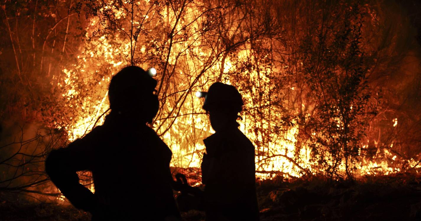 Incêndios: 35.400 hectares de terrenos agrícolas queimados em Espanha
