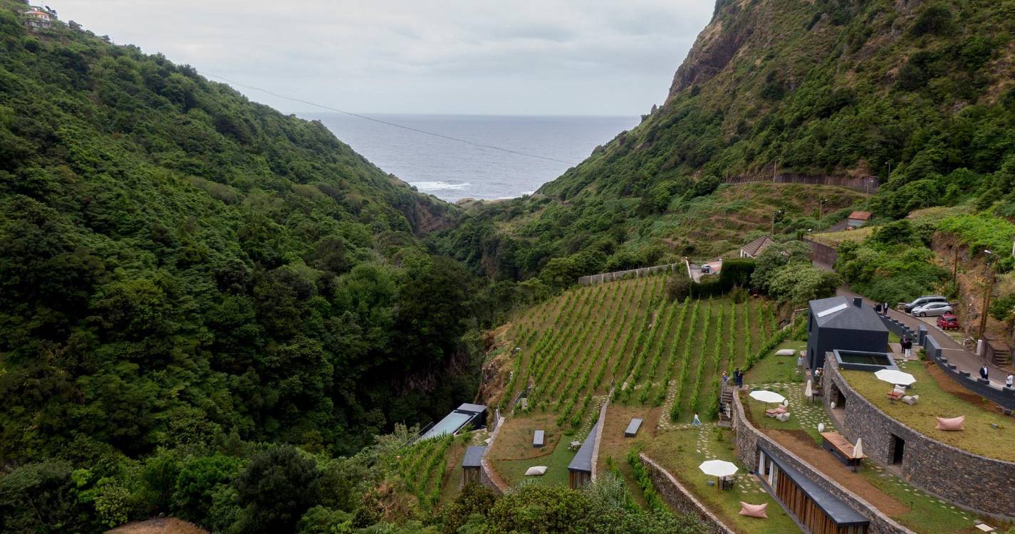 Vinhos Terrabona com nova imagem