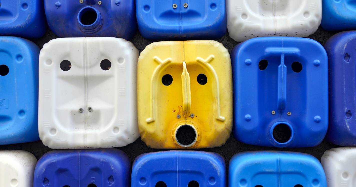 Quatro projetos da Madeira concorrem ao Prémio “Junta-te ao Gervásio”