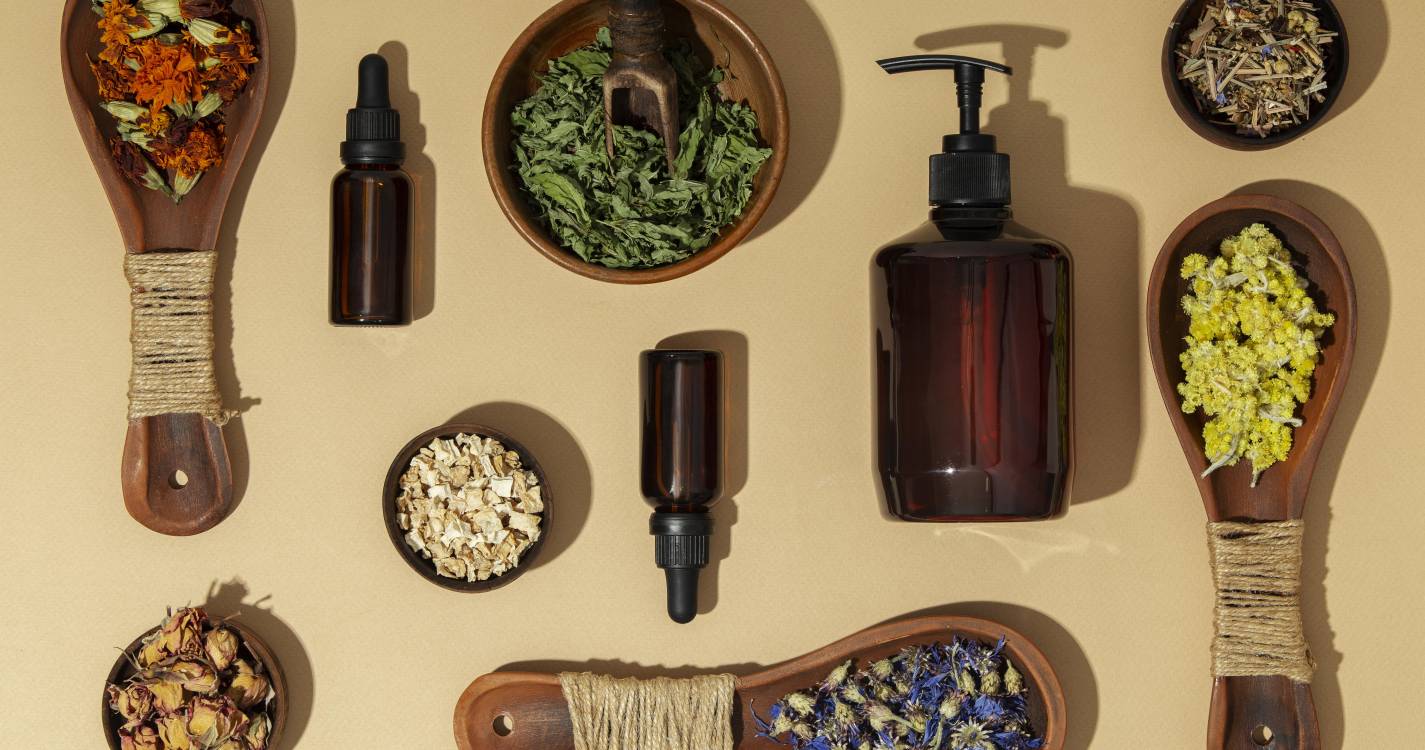 Especialistas europeus em produtos naturais reúnem-se no Funchal