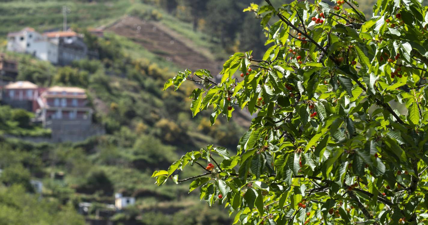 ‘Tempos de Hortifruticultura 2025’ até dia 18 de março no Jardim da Serra
