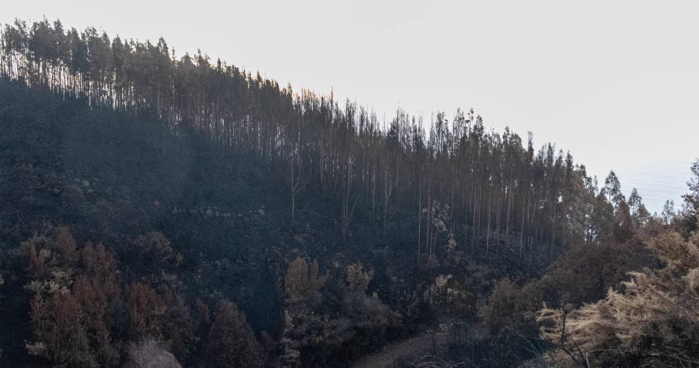 Incêndios: Mais de 20 concelhos de cinco distritos em perigo máximo