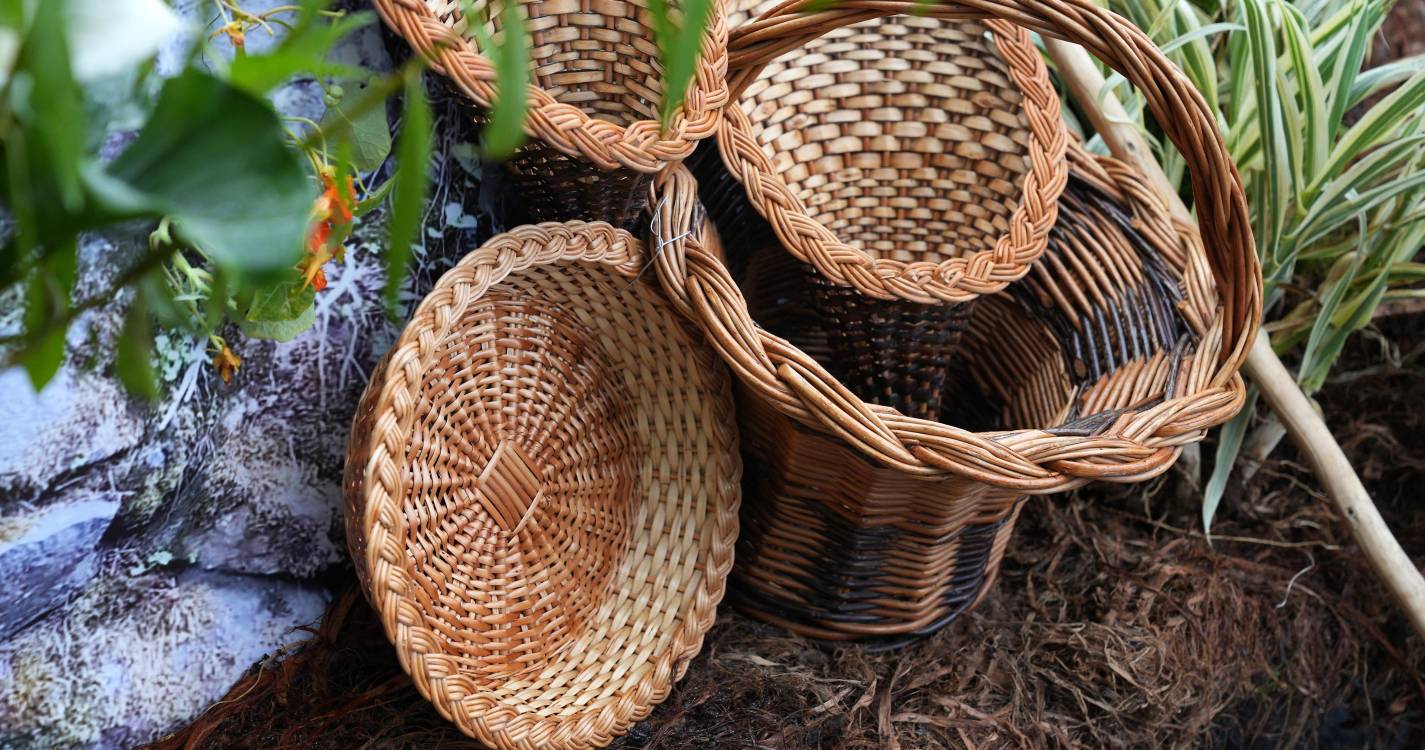 Seminário sobre a obra de vime da Camacha realiza-se hoje às 19h00