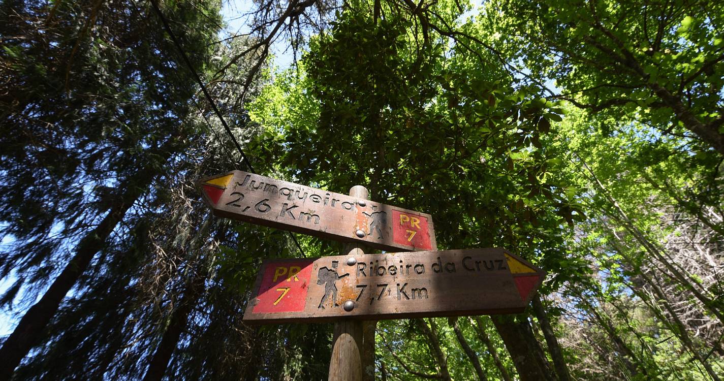 IFCN encerra todos os percursos pedestres classificados devido ao mau tempo na quarta-feira