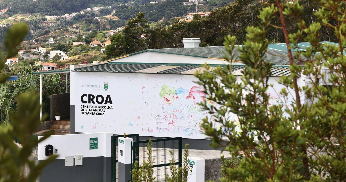 Cro Santa Cruz denuncia burla com recurso ao nome do canil