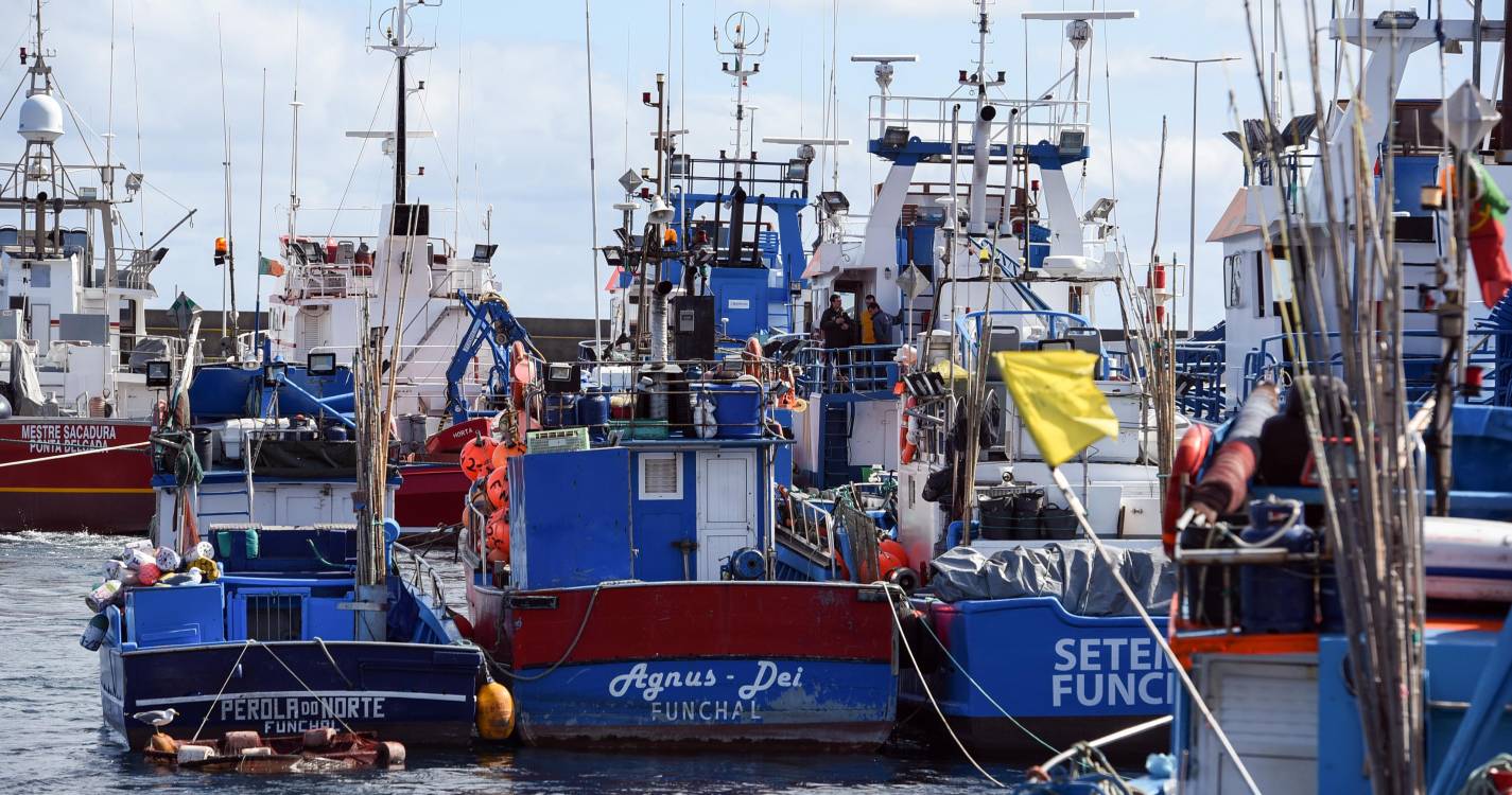 Pescas em queda na Madeira e preço médio do pescado sobe quase 23%